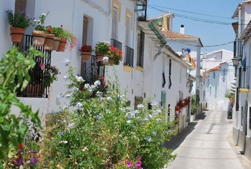 Casa Rural Sierras De Gaucin Apartment Exterior photo